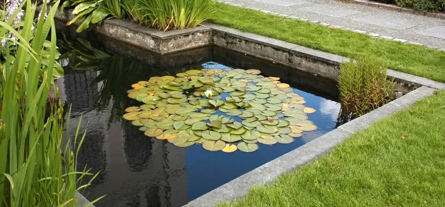 Banner giardino
