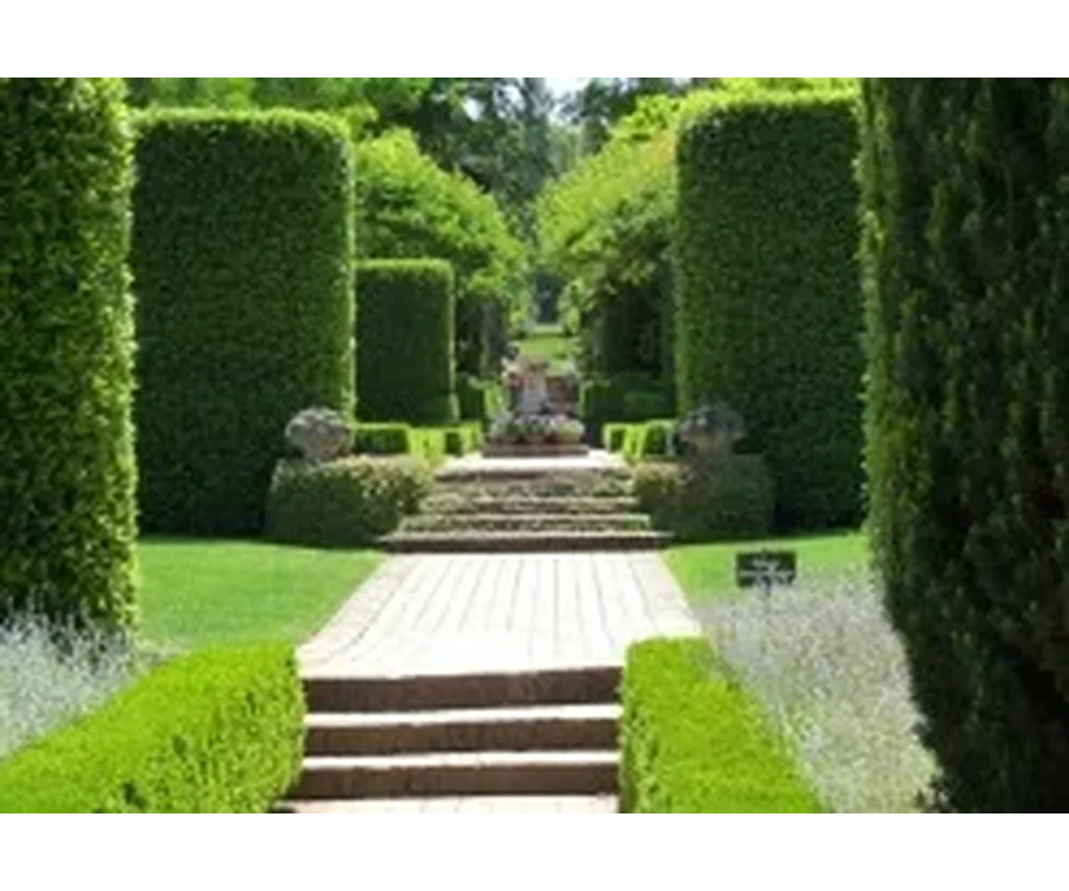 Panca Garden Line